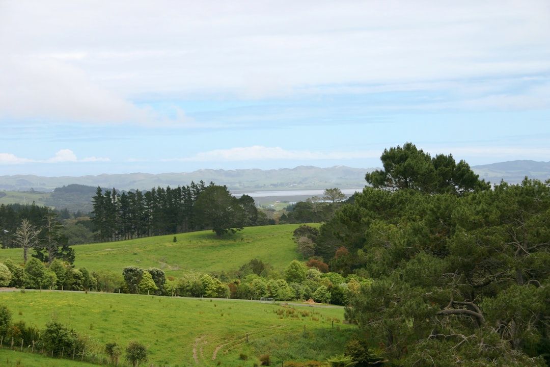 New Zealand: Rivers Kill More Trampers Than Cliffs
