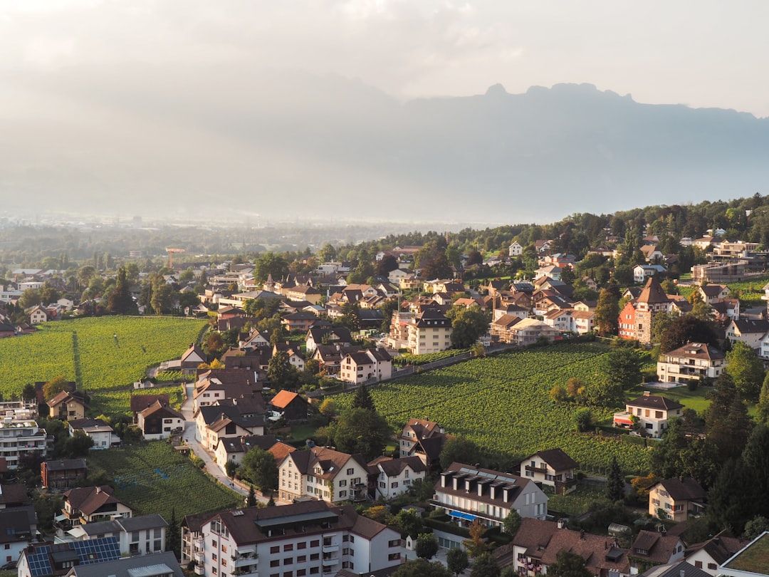 Liechtenstein vs Switzerland: Which Is Right for You